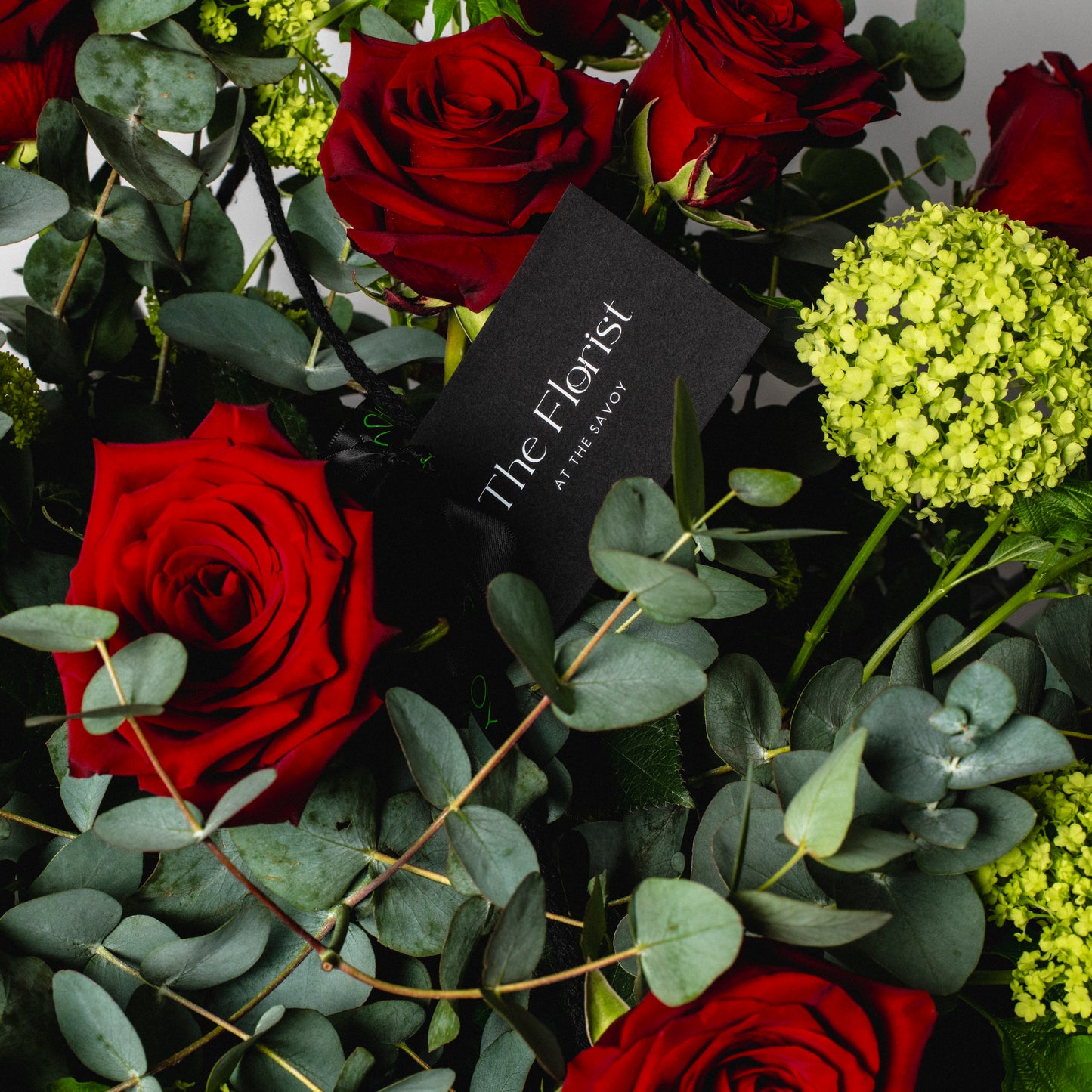 A Dozen Roses