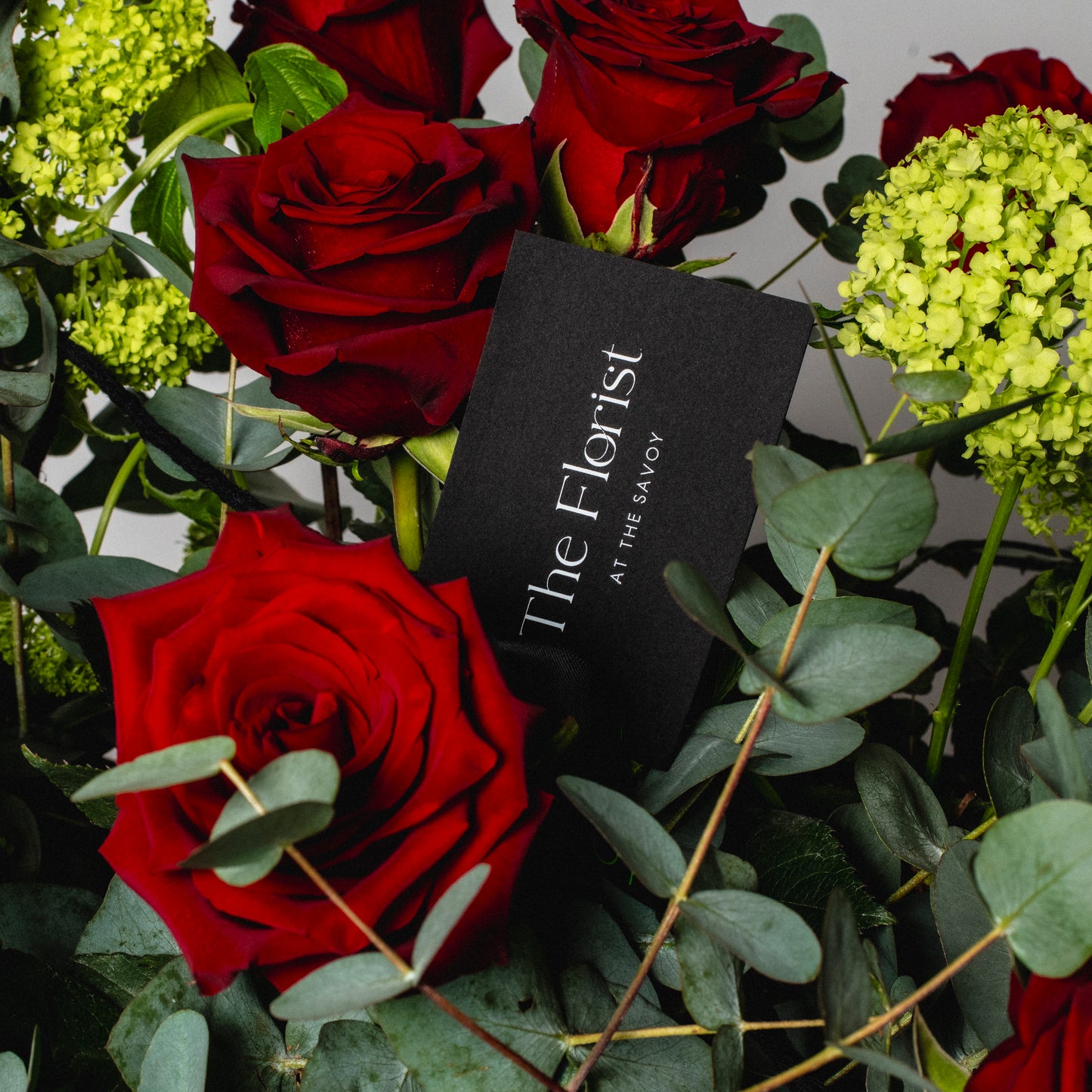 A Dozen Roses