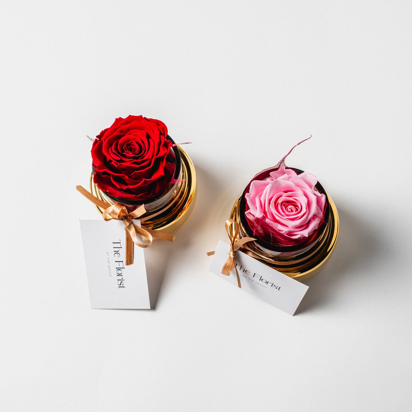 Preserved Rose