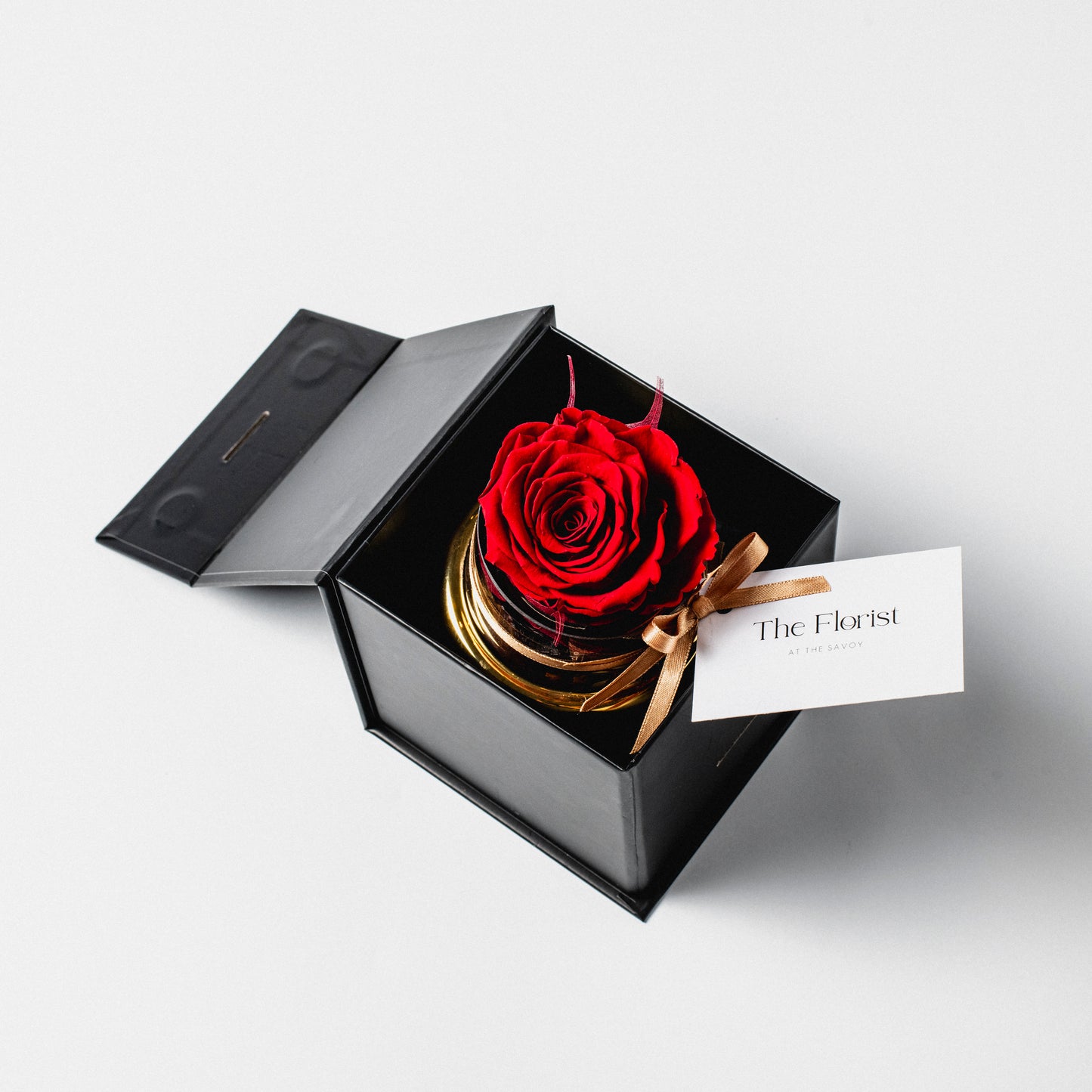 Preserved Rose