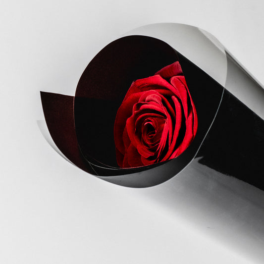 Single Red Rose