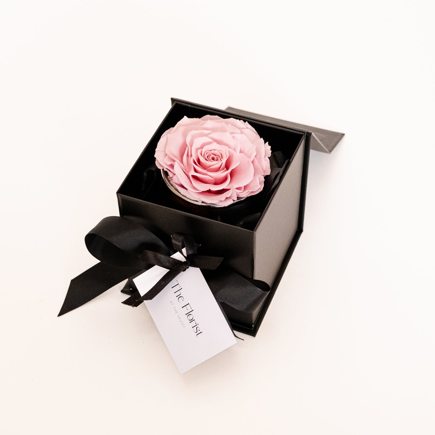 Pink rose in a black box with a black bow on a white background
