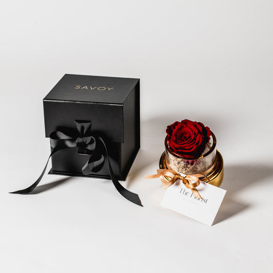 Preserved Rose