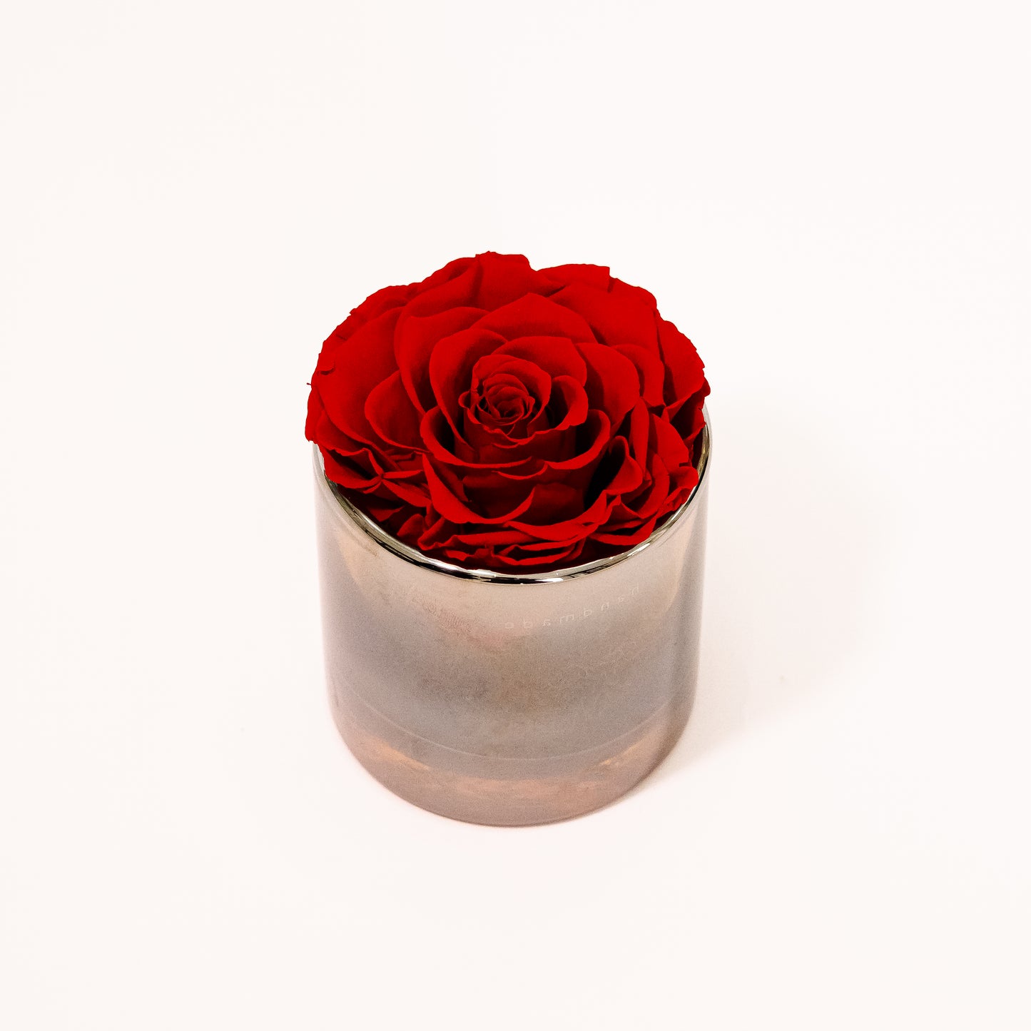 Single red preserved rose in a luxury glass container